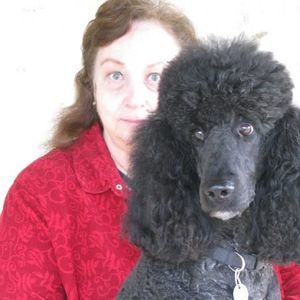 Meet your Posher, Ada